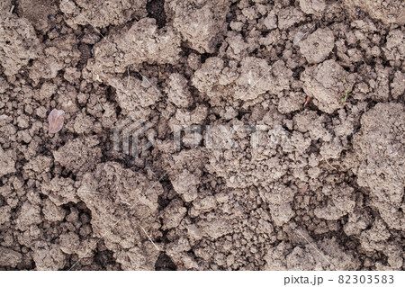 clay garden soil 82303583