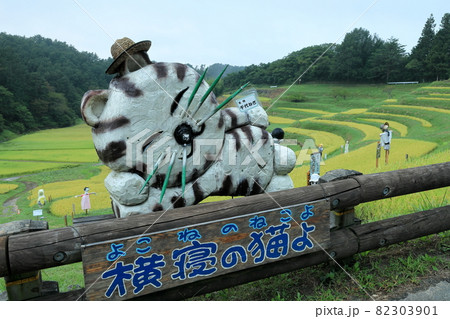 髭に地元の千代ネギを使った「横寝の猫よ」(よこね田んぼ) 82303901