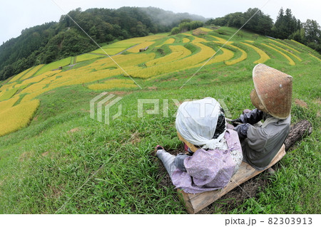 案山子の老夫婦が眺めるよこね田んぼの実り 82303913