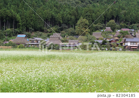 秋の美山　かやぶきの里　蕎麦の花と彼岸花と　【京都府】 82304185