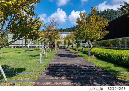 古代出雲歴史博物館 82304263