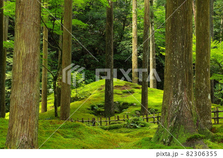 日用苔の里 石川県小松市日用町 日用苔の里 石川県小松市日用町 82306355
