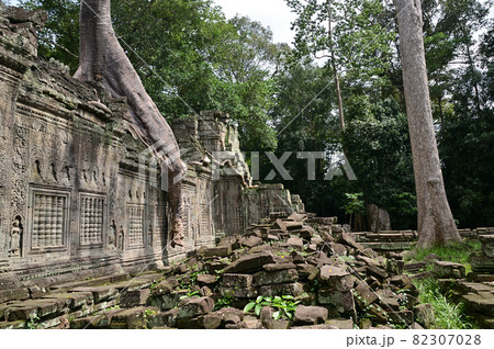 カンボジアのアンコール遺跡群 プリア・カーン カンボジアのアンコール遺跡群 プリア・カーン 82307028