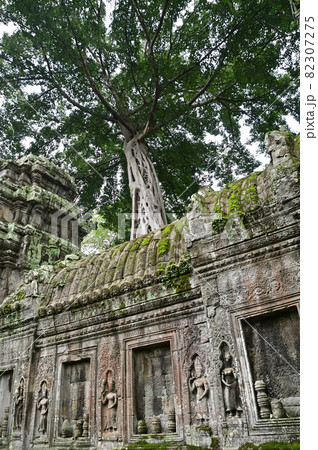カンボジアのアンコール遺跡群 タ・プローム カンボジアのアンコール遺跡群 タ・プローム 82307275