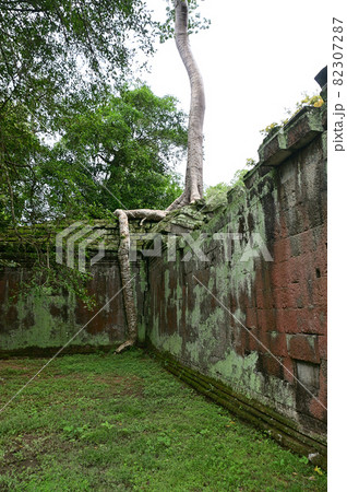 カンボジアのアンコール遺跡群 タ・プローム カンボジアのアンコール遺跡群 タ・プローム 82307287