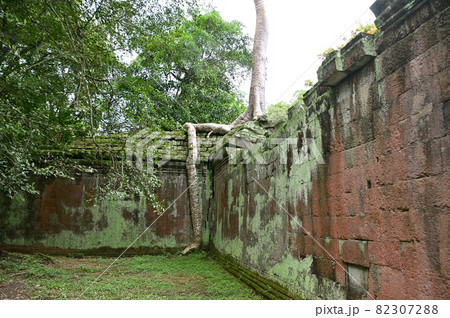 カンボジアのアンコール遺跡群 タ・プローム カンボジアのアンコール遺跡群 タ・プローム 82307288