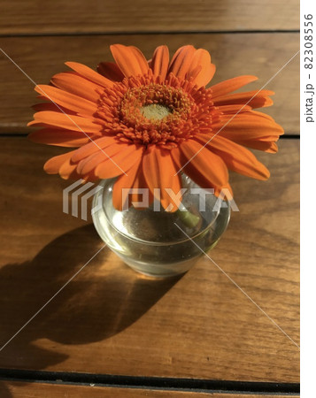 夕陽のあたるカフェにて 一輪挿しのオレンジのガーベラの花2の写真素材