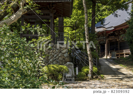 白い萩が咲く大悲願寺の境内／東京都あきる野市 82309392