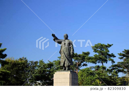 公園 ソウル 木 82309830