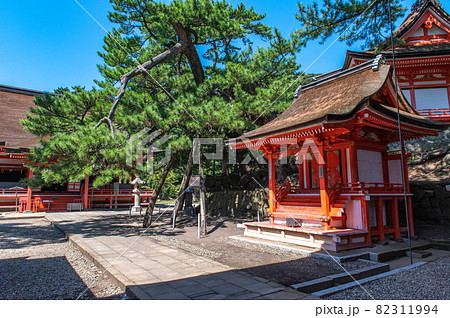 うつし世の竜宮城　日御碕神社 82311994