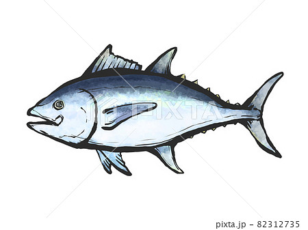 黒マグロの手描き筆絵風イラストのイラスト素材