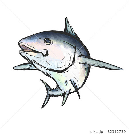 黒マグロの手描き筆絵風イラストのイラスト素材 黒マグロの手描き筆絵風イラストのイラスト素材