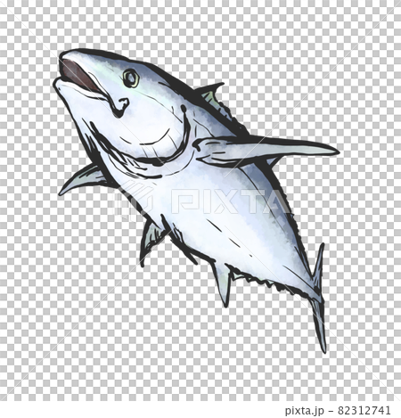 黒マグロの手描き筆絵風イラストのイラスト素材 黒マグロの手描き筆絵風イラストのイラスト素材