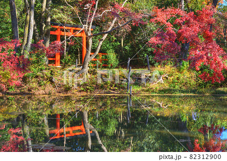 植物園の紅葉 82312900