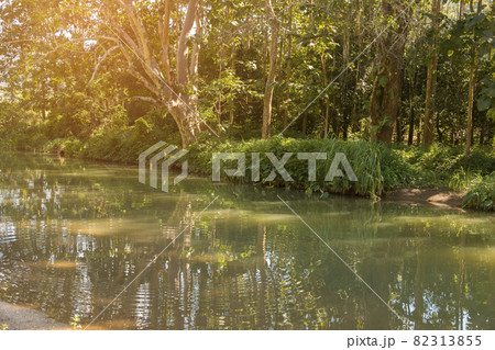 calm mountain water stream flowing in green forest  - selective focus. 82313855