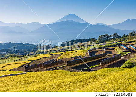 （山梨県南アルプス市）稲刈りが始まった、中野の棚田　後方に富士山 82314982