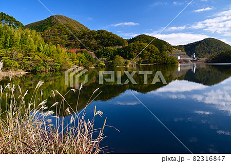 伊豆・松川湖 82316847