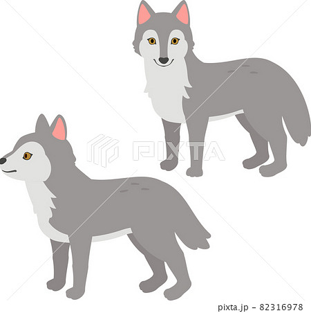 正面を向いたオオカミと横向きのオオカミのイラスト素材