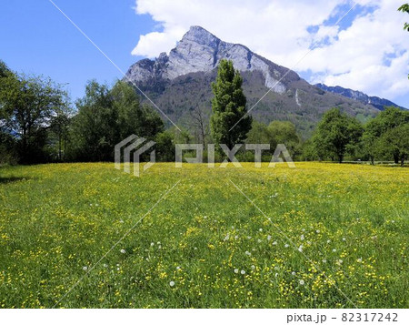東スイスの山　春のゴンツェン　Gonzen　（ザンクトガレン州） 82317242