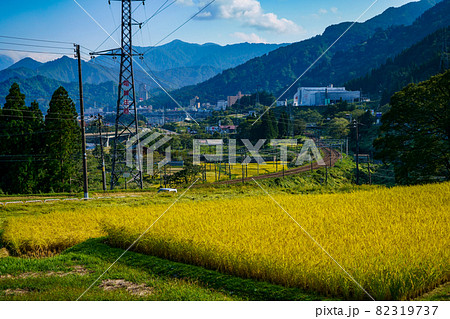 黄金色の稲穂と上越線の線路が見える米処新潟の秋風景 82319737