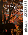 秋の奥秩父・大血川溪流観光釣場近くに広がる紅葉の風景 82322185