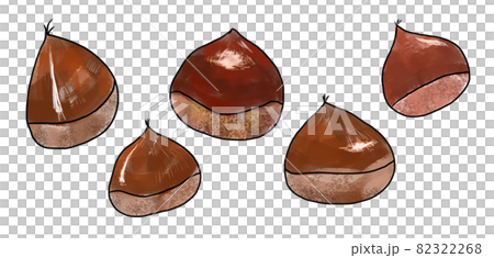 Chestnut illustration material Chestnut illustration material 82322268