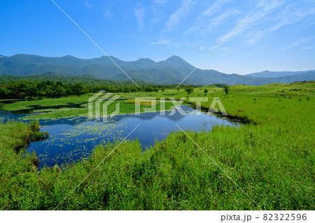 北海道・道東　知床五湖  8月 82322596