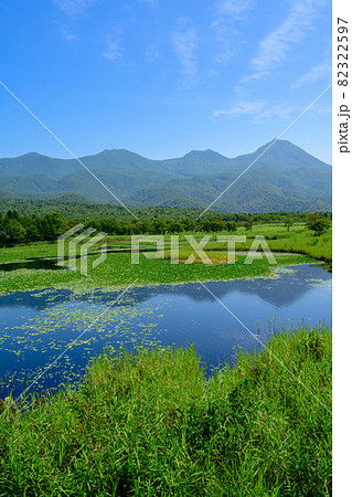 北海道・道東 知床五湖 8月 北海道・道東 知床五湖 8月 82322597