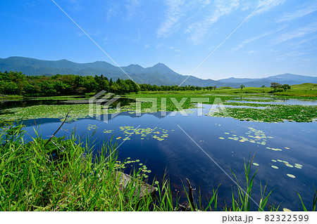 北海道・道東　知床五湖  8月 82322599
