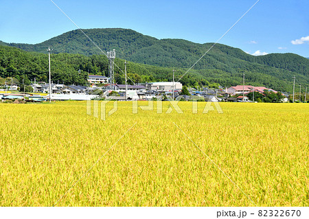 青木村役場、小中学校周辺を望む(長野県青木村)【2021.9】 82322670