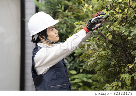 庭木の枝切りをする造園業の作業員 82323175