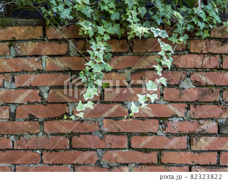 Old red damaged wall with plants growing on it. 82323822