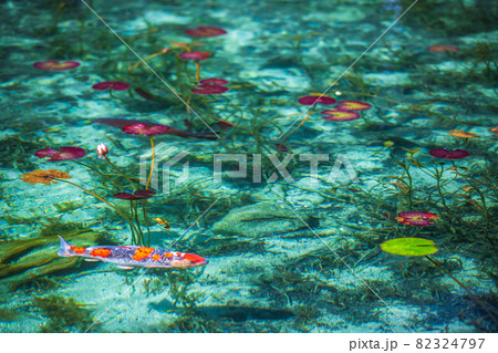 岐阜県関市　モネの池 82324797