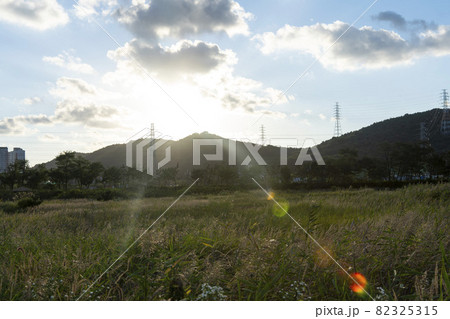 空 葦 秋 82325315