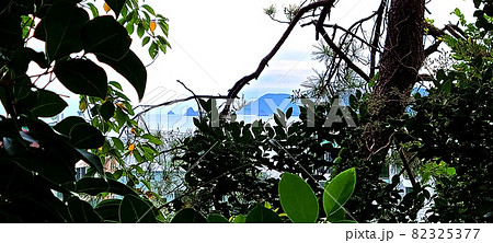 海 椿島 五六島 82325377