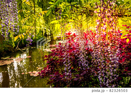 gardens of painter Claude Monet in Giverny, France gardens of painter Claude Monet in Giverny, France 82326503
