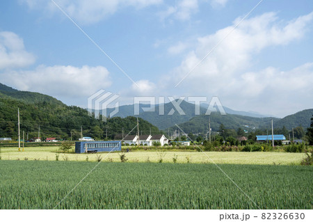 田畑 そばの花 花 82326630