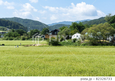田畑 山 そばの花 82326733