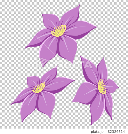 Clematis 6-valve purple 3 sets 82326814