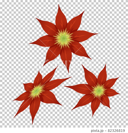 クレマチス8弁赤3セット クレマチス8弁赤3セット 82326819