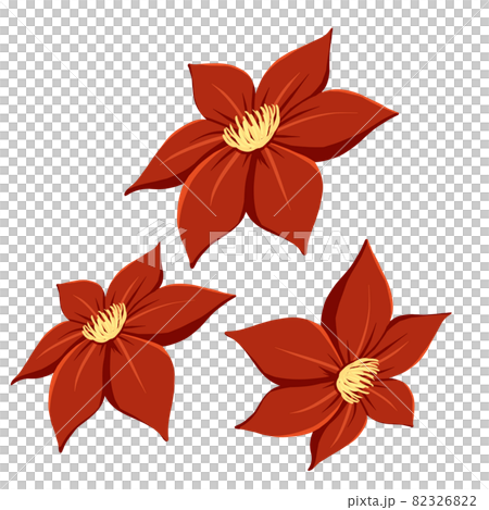 Clematis 6 valve red \ 3 set Clematis 6 valve red \ 3 set 82326822