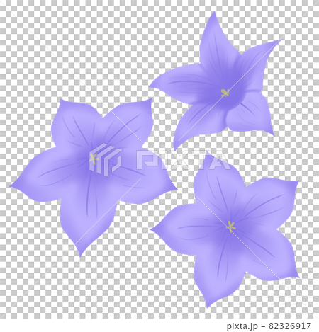 Kikyo 3 sets purple Kikyo 3 sets purple 82326917