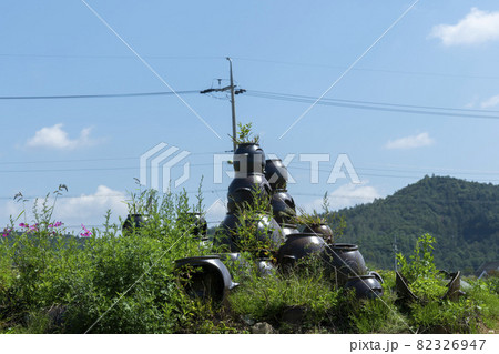 田畑 山 花 82326947
