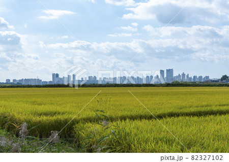 風景 空 ノン 82327102
