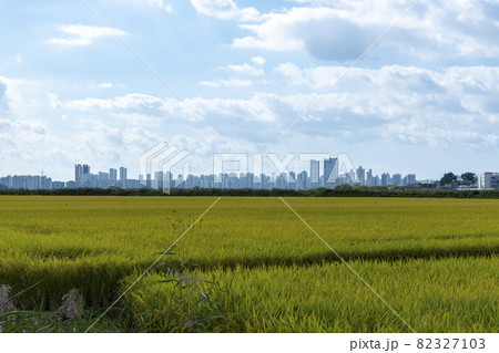 風景 空 ノン 82327103
