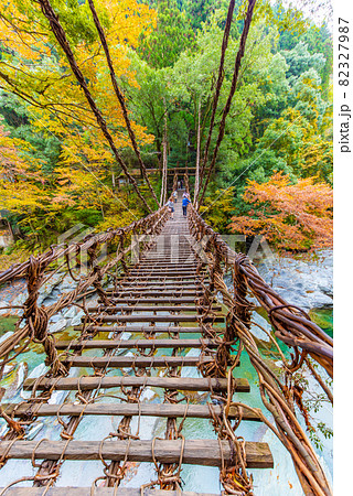 【徳島】秋のかずら橋 【徳島】秋のかずら橋 82327987
