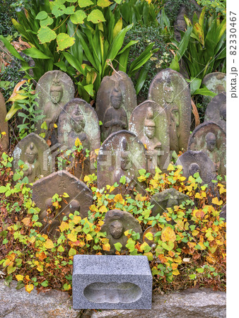 [東京・堀切] 多聞寺の香炉の前に並ぶ苔と秋の植物に覆われた釈迦如来,子育地蔵と弘法大師の石像。 82330467