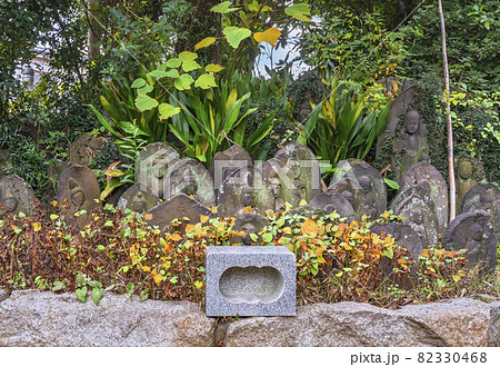 [東京・堀切] 多聞寺の香炉の前に並ぶ苔と秋の植物に覆われた釈迦如来,子育地蔵と弘法大師の石像。 82330468