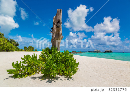 Tropical beach in the Maldives Tropical beach in the Maldives 82331776