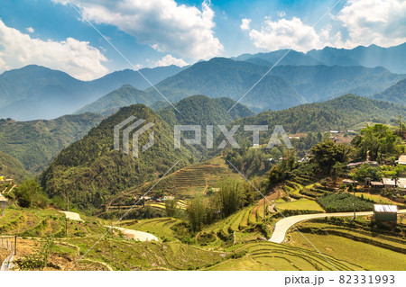 Terraced rice field in Sapa 82331993